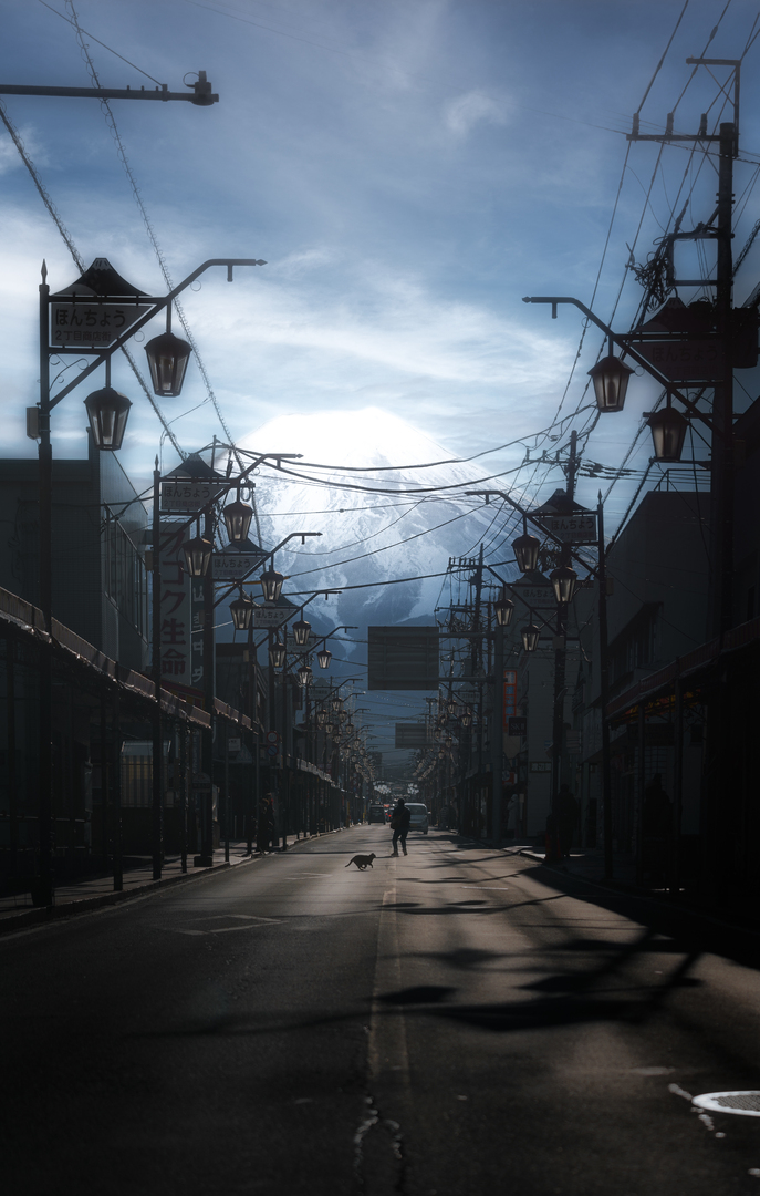 mt fuji framed by a street and some fucking cat